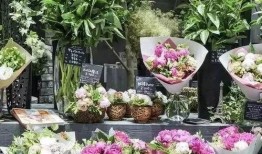 长沙花店吃瓜爆料,吃瓜群众的甜蜜爆料