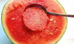 小胡子吃瓜不吃瓜,吃瓜达人，品味人生百态