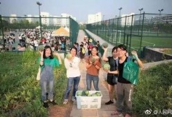 吃瓜网红学校,校园风云录