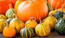 吃瓜升糖测试,揭秘瓜果对血糖影响之谜