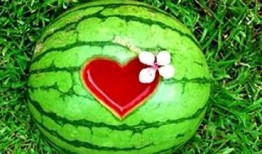 梦见瓜地吃瓜,瓜果飘香中的味蕾之旅