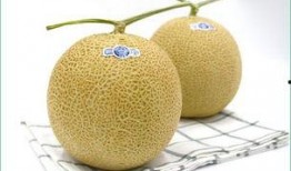 宝宝单独吃哈密瓜怎么吃,宝宝独立享用哈密瓜的简单方法