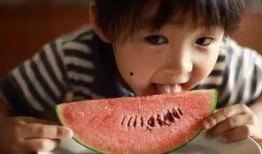 伤吃瓜的人,揭秘人生百态的酸甜苦辣