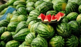 吃瓜网红全部,揭秘网络红人的幕后生活与影响力