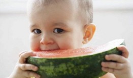 婴儿吃的瓜,宝宝辅食中的天然美味探索
