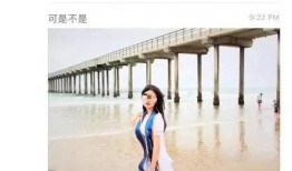 吃瓜加州女博士,一场跨越学术与生活的跨界探索