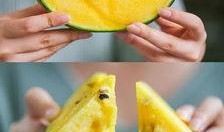 全潮汕都在吃瓜