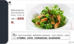 155页ppt吃瓜,一场视觉与知识的盛宴