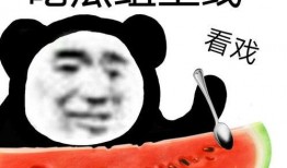 聊天吃瓜的视频,聊天视频背后的娱乐狂欢