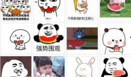 吃瓜家庭问题,揭秘娱乐圈背后的恩怨情仇