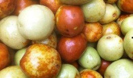 肚痛吃蒲瓜,天然食疗的神奇功效